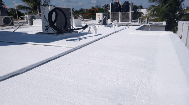 trabajando en proyectos